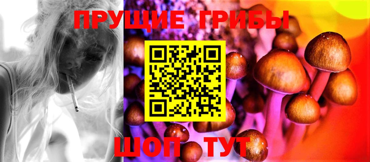 Галлюциногенные грибы GOLDEN TEACHER Алексеевка