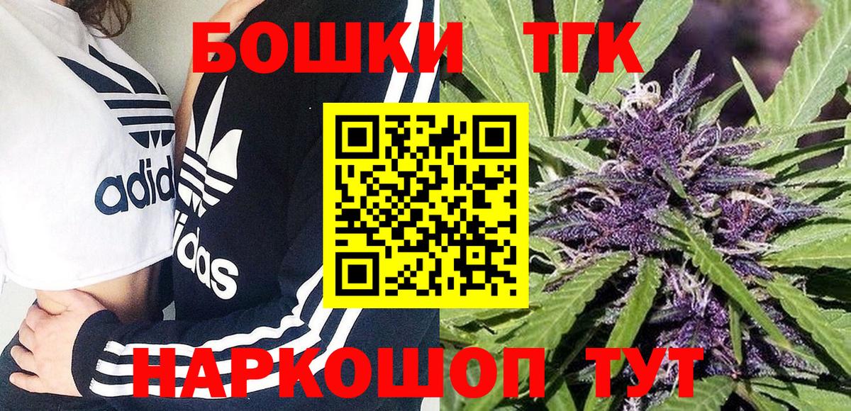 Бошки Шишки планчик Алексеевка